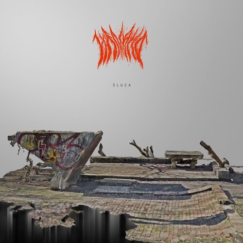 Robert cover art