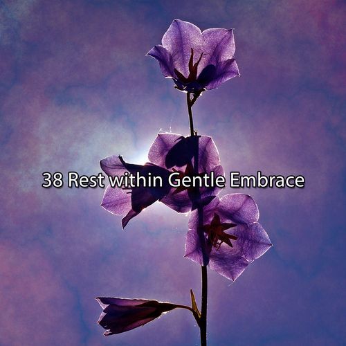 38 Rest within Gentle Embrace_poster_image