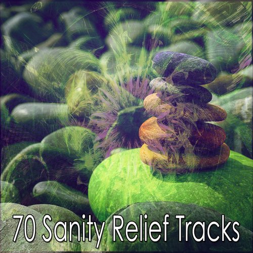 70 Sanity Relief Tracks