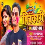 BHATAR LEKE SUTE PICHKARI