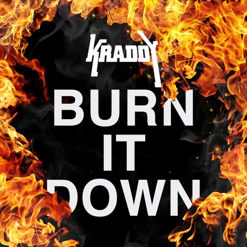 Burn It Down_poster_image