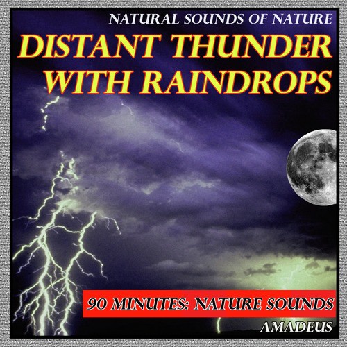 Distant Thunder with Raindrops: Natural Sounds of Nature
