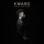 Fight for Love (Blonde Remix) [Radio Edit] (Blonde Remix; Radio Edit)