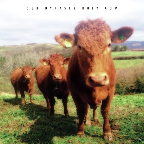 Holy Cow (feat. Ras Tinny)