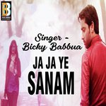 Ja Ja Ye Sanam