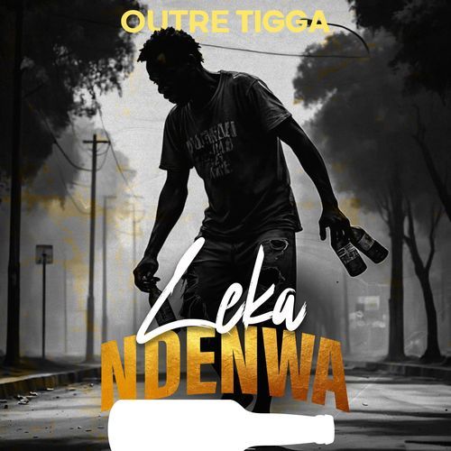 Leka Ndenwa cover art