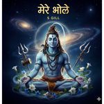 Mere bhole