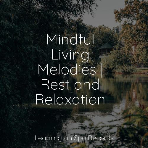 Lazy Morning cover art