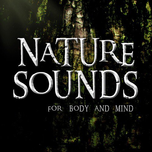 Nature Sounds for Body and Mind