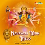 Navratri Mein Melo Lag Chal Gori