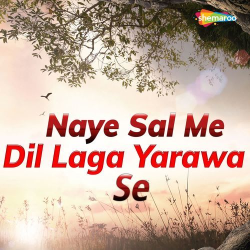 Naye Sal Me Dil Laga Yarawa Se