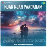 Njan Njan Paadanam - Aesthetic Mix