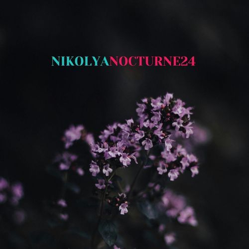 Nocturne 24