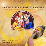 Om Krishnaya Vasudevaya Mantra
