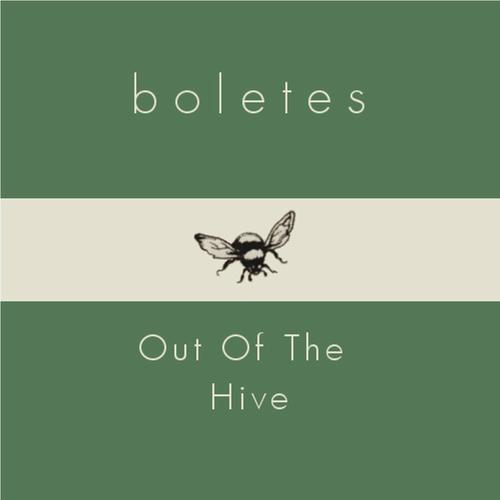 Out Of The Hive