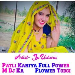 Patli Kaniya Full Power M Dj Ka Flower Todgi-QAYDezhHYH0