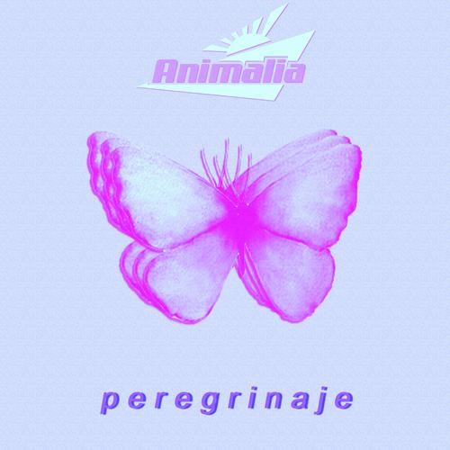 Peregrinaje