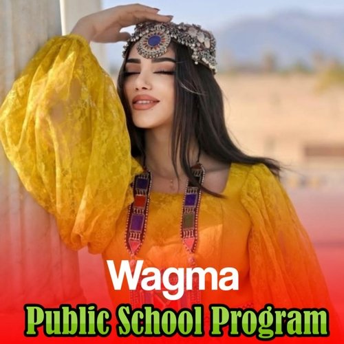 Public School Program