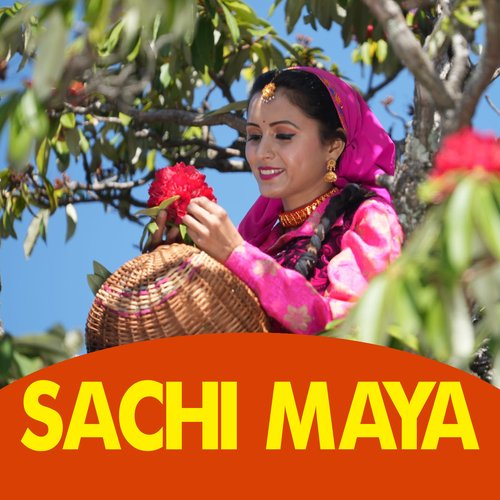 SACHI MAYA