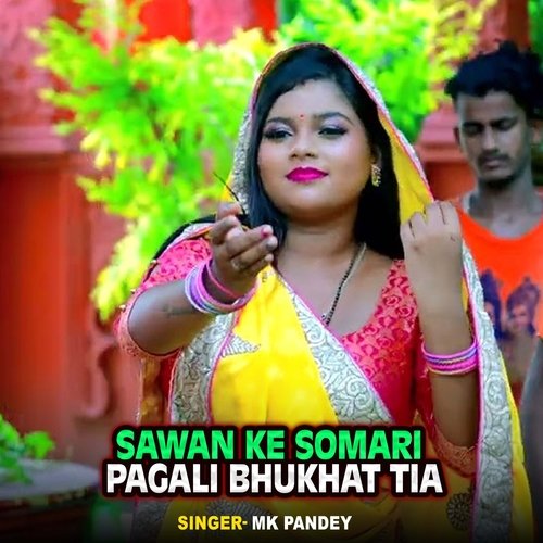 Sawan Ke Somari Pagali Bhukhat Tia