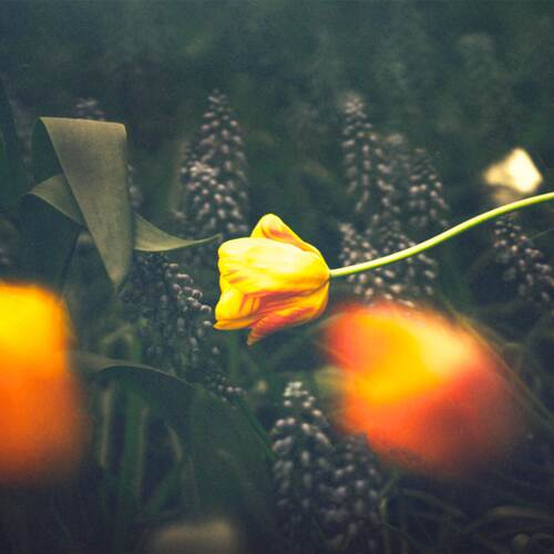 Summar Al Layali (Ouska Remix) cover art
