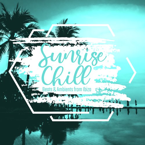 Workout ChillOut cover art