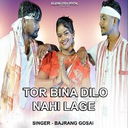 Tor Bina Dilo Nahi Lage ( Nagpuri Song )