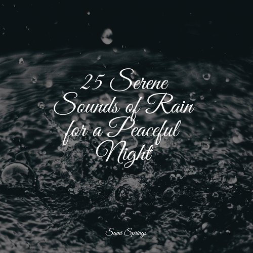 25 Serene Sounds of Rain for a Peaceful Night_poster_image