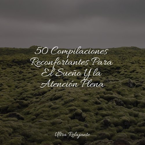 50 Compilaciones Reconfortantes Para El Sueño Y la Atención Plena