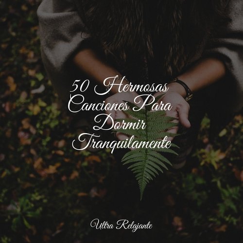 50 Hermosas Canciones Para Dormir Tranquilamente_poster_image