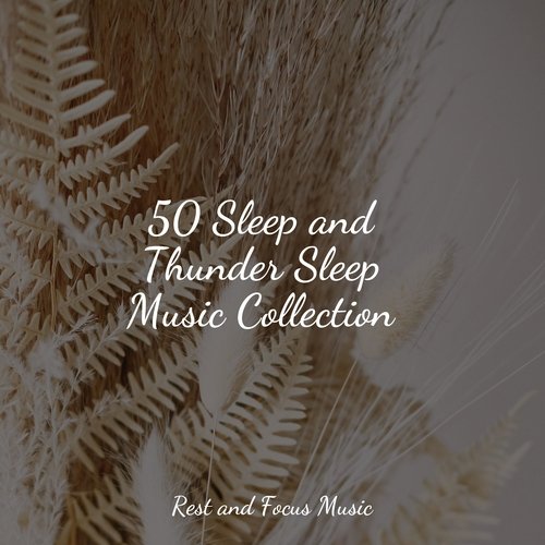 50 Sleep and Thunder Sleep Music Collection_poster_image