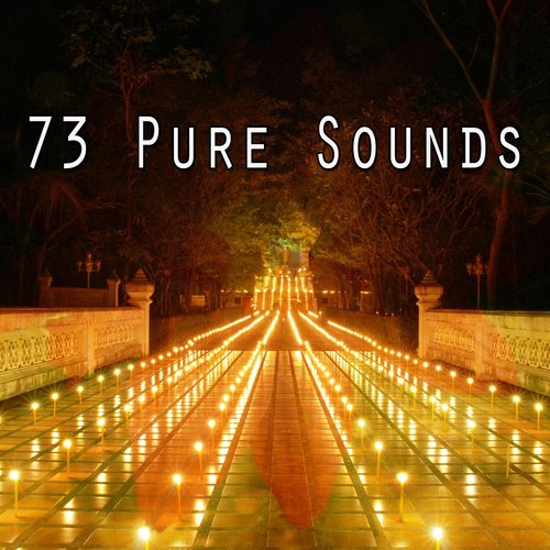 73 Pure Sounds