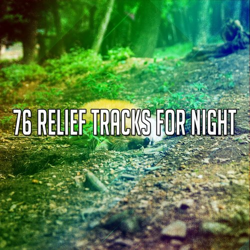 76 Relief Tracks For Night