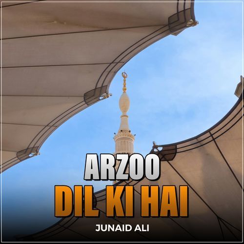 Arzoo Dil Ki Hai