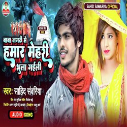 Baba Nagari Me Hamaar Mehari Bhula Gaili