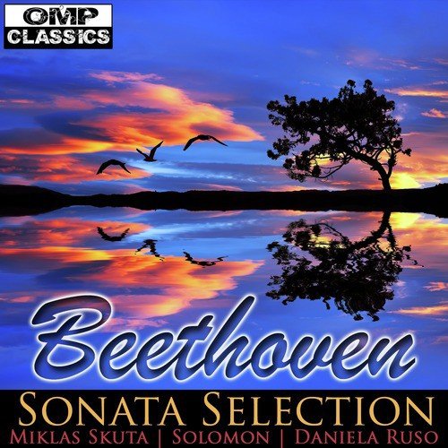 Beethoven: Sonata Selection