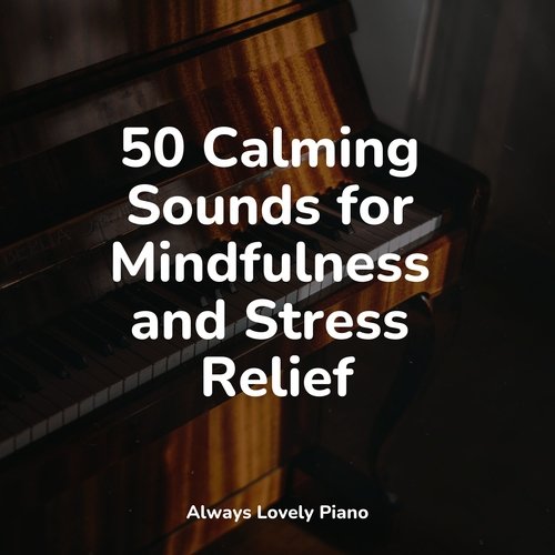 Calm Ambient Melodies | Piano Songs