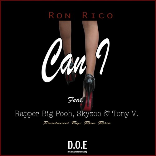 Can I (feat. Rapper Big Pooh, Skyzoo & Tony V.)