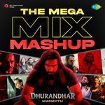 Dhurandhar The Mega Mix Mashup