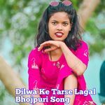 Dilwa Ke Tarse Lagal Bhojpuri Song