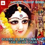 Dukhio Ki Karti Maata Tuhi Bera Paar