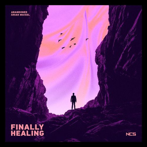 Finally Healing_poster_image