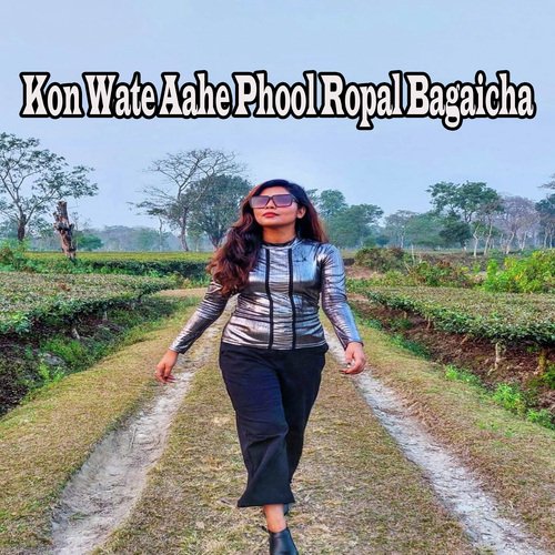 Kon Wate Aahe Phool Ropal Bagaicha