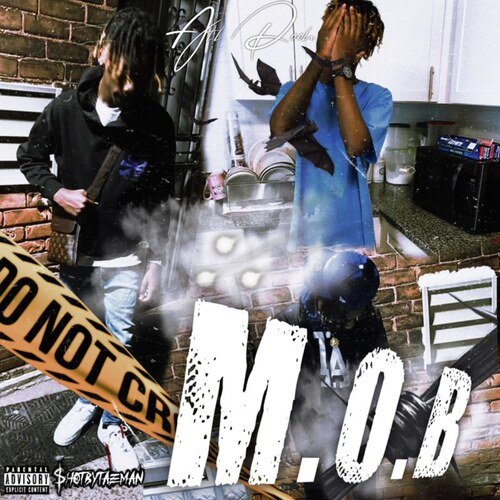 223 cover art
