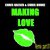 Making Love (Funkaholic Extended Remix)