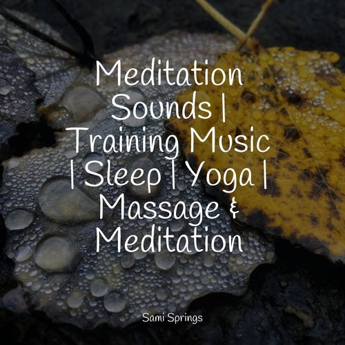 Meditation Sounds | Training Music | Sleep | Yoga | Massage &amp; Meditation_poster_image