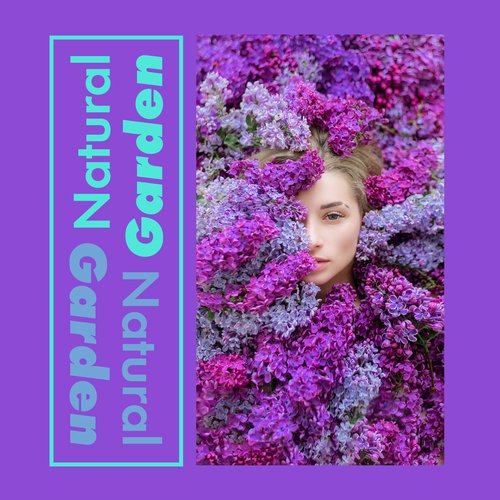 Birds Singing cover art