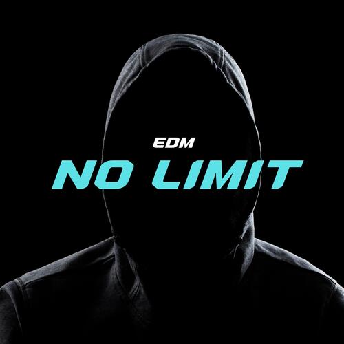 No Limit_poster_image