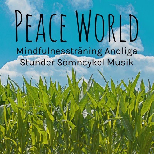Peace World - Mindfulnessträning Andliga Stunder Sömncykel Musik med Natur Instrumental Spa Avslappnande Ljud