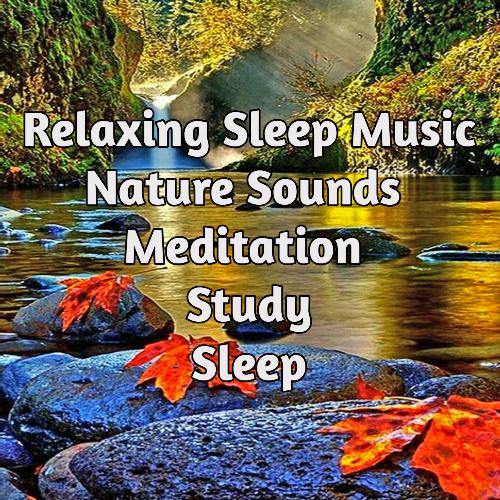 Relaxing Sleep Music with Nature Sounds